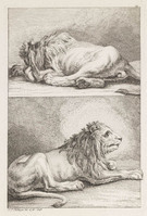KG 01102
<br/>
Serie honden, wolven en leeuwen (11 bladen)
<br/>
<em>Ridinger, Johann Elias (1698-1767)</em>